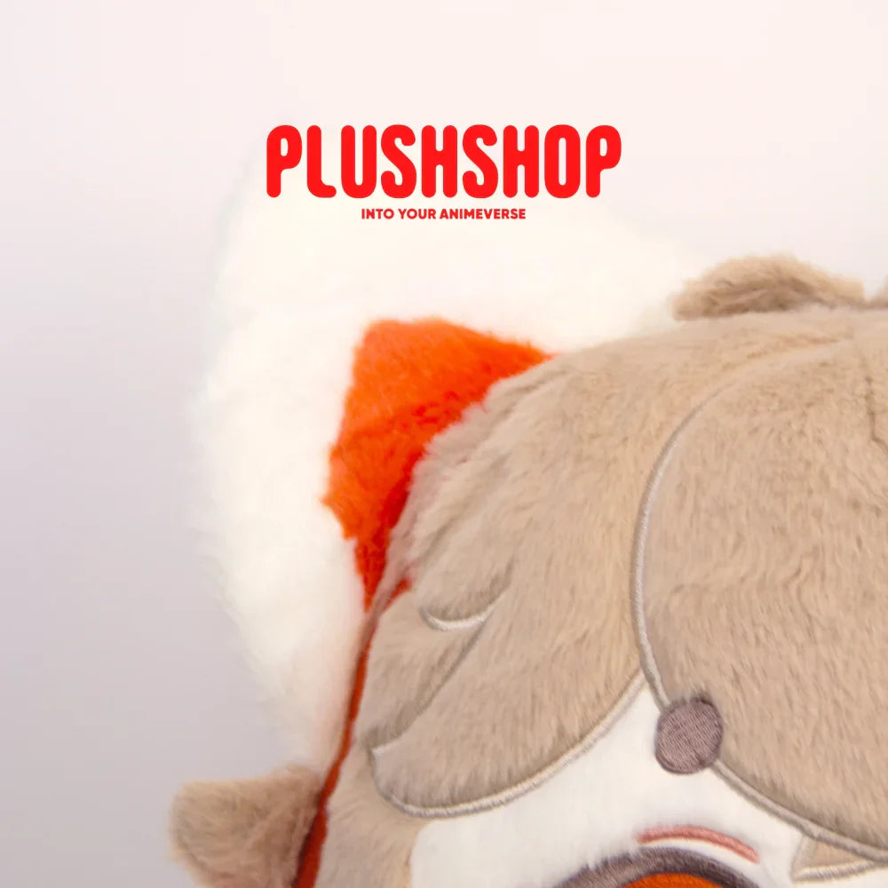Kazuha Meow (18IN)