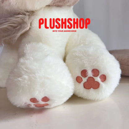 Kazuha Meow (18IN)