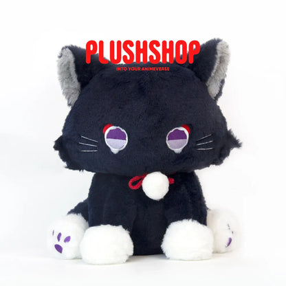 Scara Meow