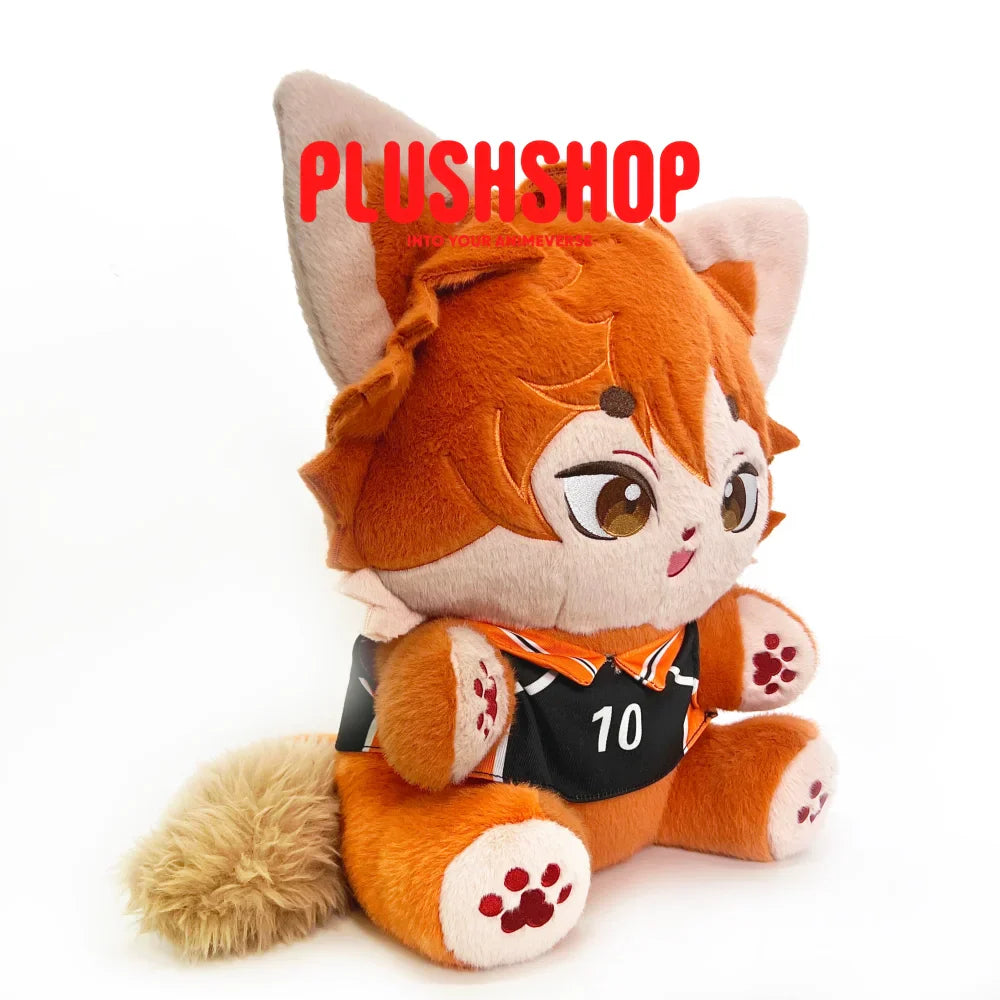 Shoyo Meow (16IN)